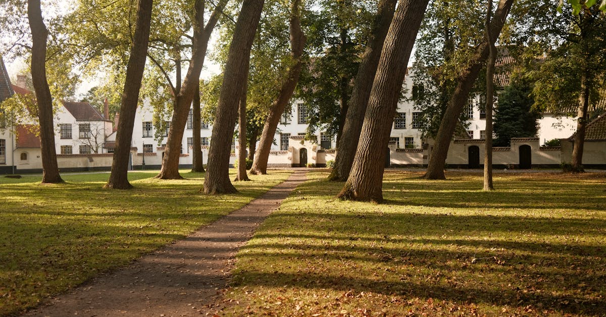 découvrez le beguinage, un lieu historique et paisible où cohabitaient autrefois des communautés de femmes pieuses. explorez l'architecture médiévale, les jardins enchanteurs et plongez dans la sérénité d'un patrimoine vivant.