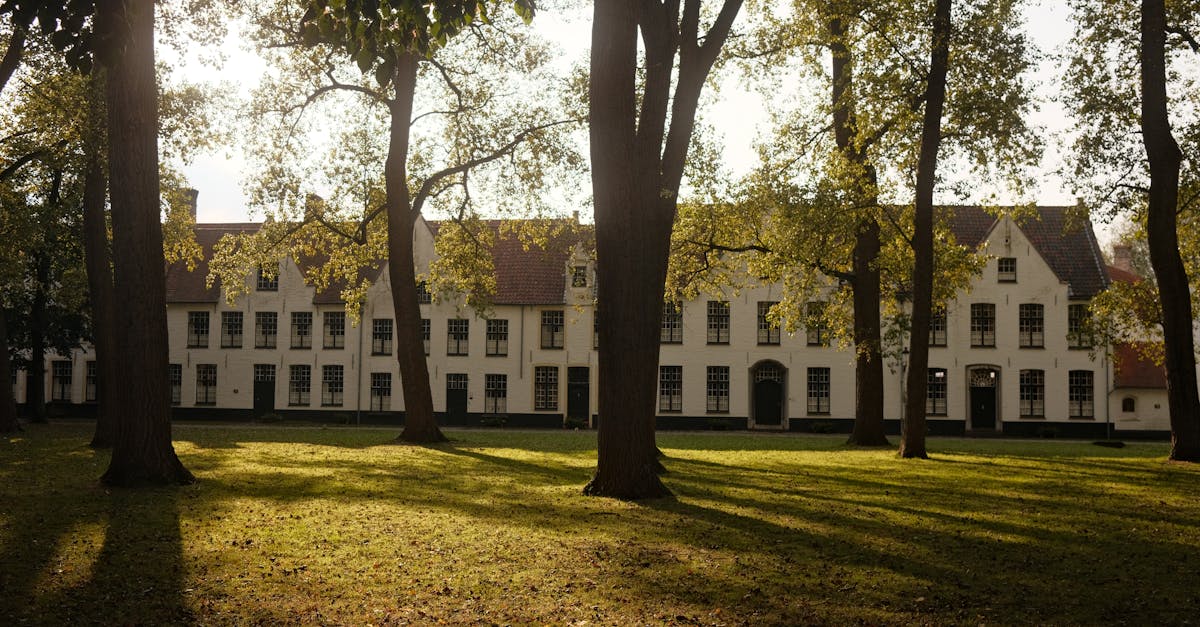 discover the beguinage, a historic and peaceful place where the community of beguines lived in harmony, mixing spirituality and autonomy. explore its architecture, serene gardens and the cultural heritage it represents, a true treasure not to be missed.