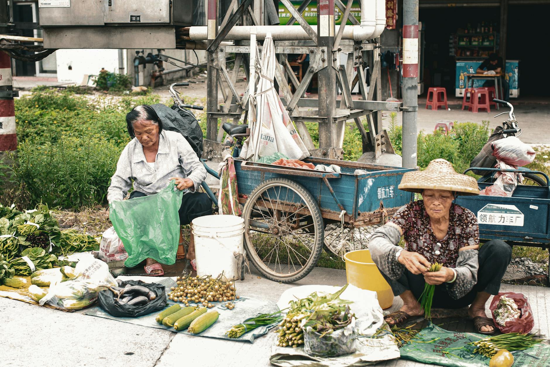 découvrez les nombreuses opportunités de voyage en chine spécialement conçues pour les seniors. un marché en pleine expansion offrant des expériences culturelles enrichissantes, des itinéraires adaptés et des services sécurisés pour garantir des vacances mémorables et sans souci.