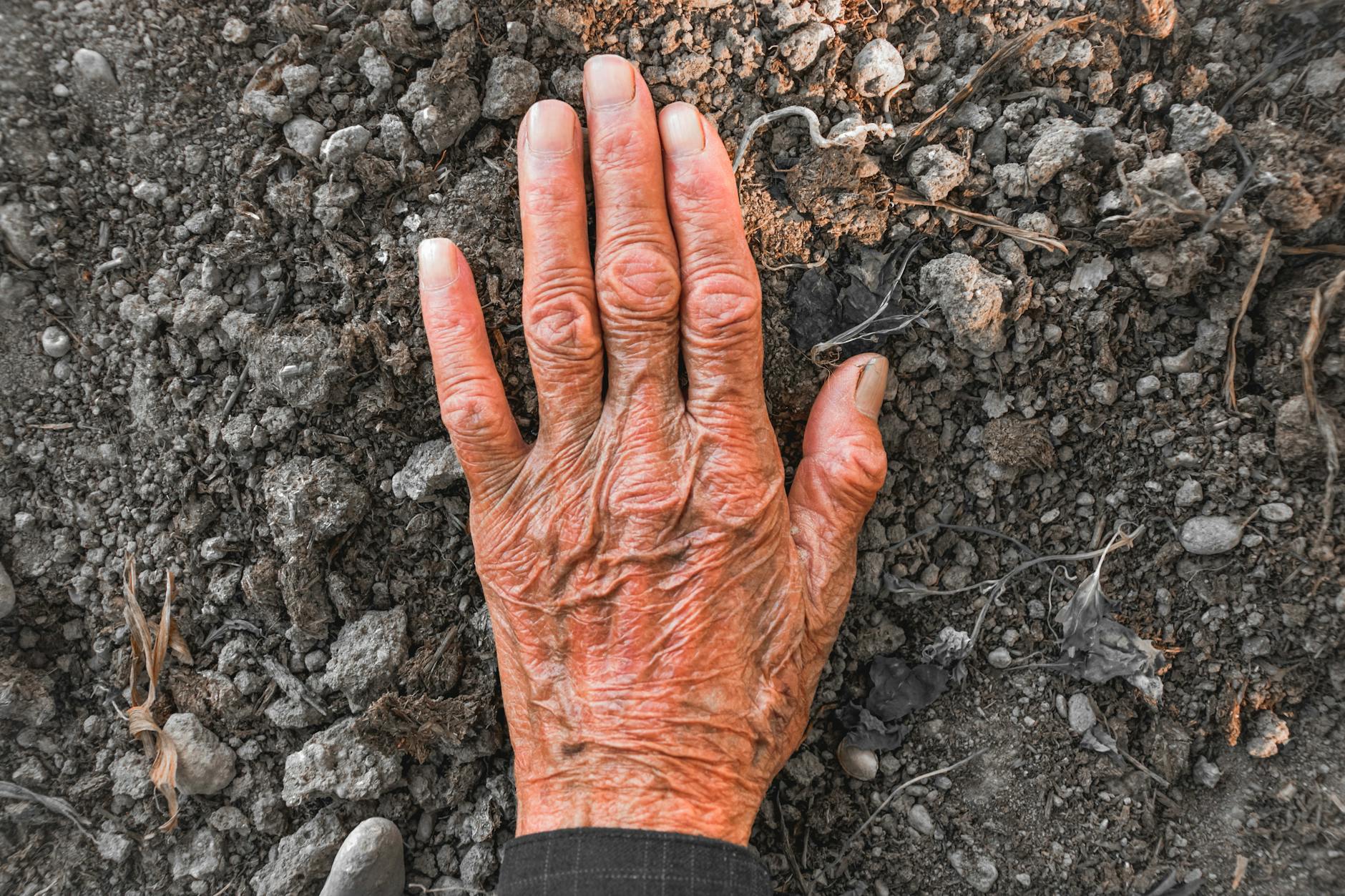 discover how agetech is transforming the aging population landscape by offering innovative solutions. explore technologies that improve the quality of life of seniors and their autonomy, while meeting the challenges of an aging society.